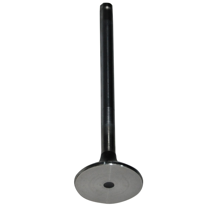 Immagine di EXHAUST VALVE STD