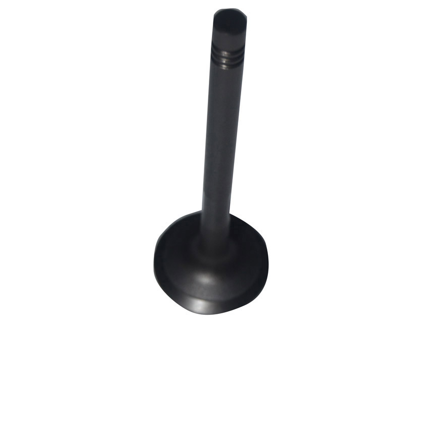 Immagine di EXHAUST VALVE STD