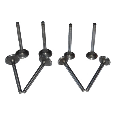 Immagine di VALVE KIT STD ( IN + EX ) 0,15