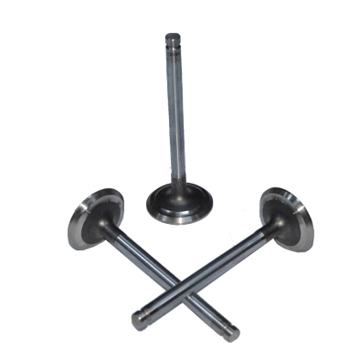 Immagine di INLET VALVE STD