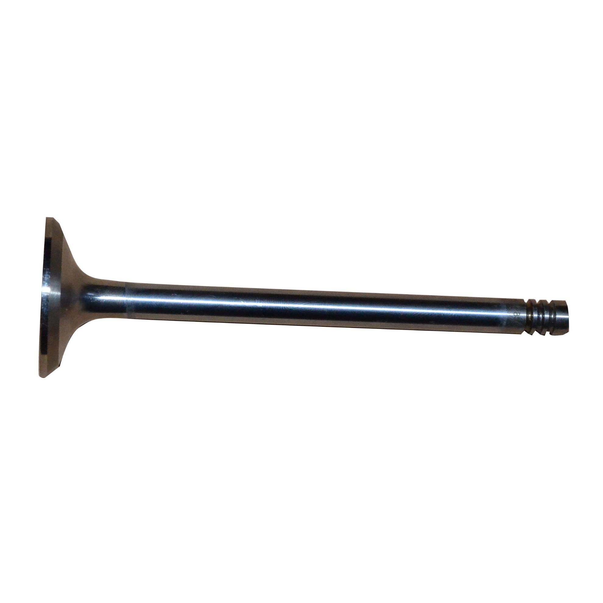 Immagine di VALVE EXHAUST STD