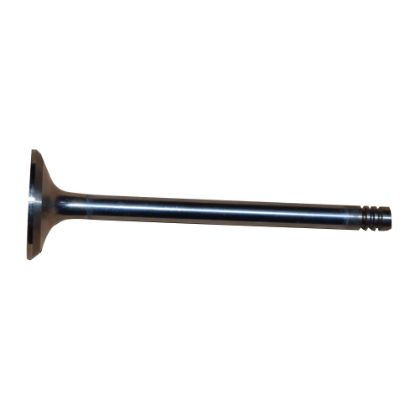 Immagine di VALVE EXHAUST STD