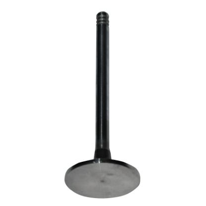 Immagine di VALVE INLET STD