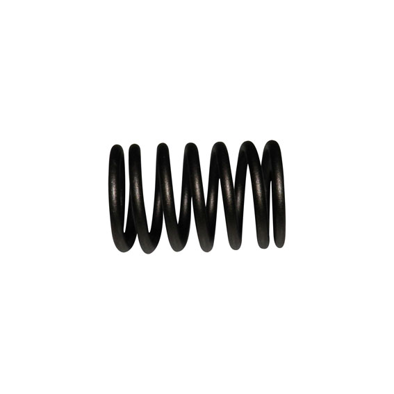 Immagine di VALVE SPRING OUTER