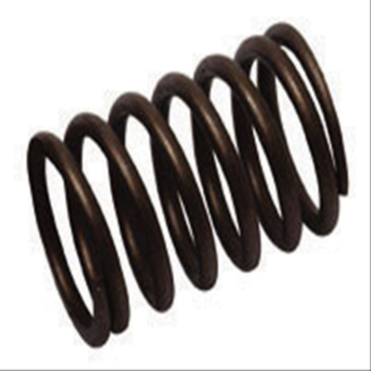 Immagine di VALVE SPRING OUTER