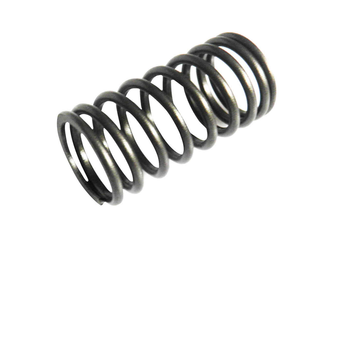 Immagine di VALVE SPRING INNER