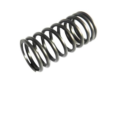 Immagine di VALVE SPRING INNER