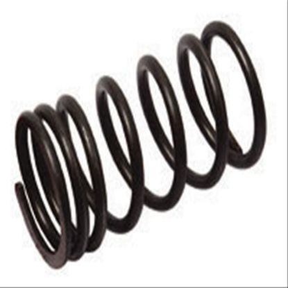 Immagine di VALVE SPRING OUTER