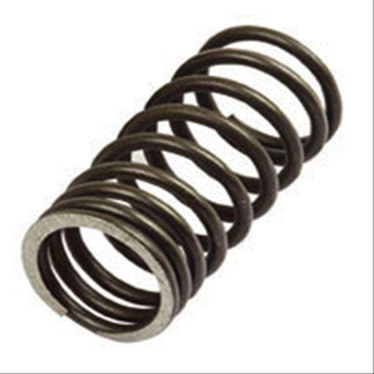 Immagine di VALVE SPRING INNER