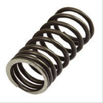 Immagine di VALVE SPRING INNER