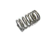 Immagine di VALVE SPRING FULL SET (8+8) PCS.