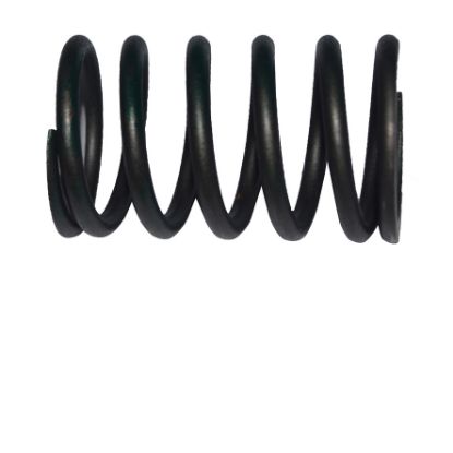 Immagine di VALVE SPRING