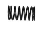 Immagine di VALVE SPRING