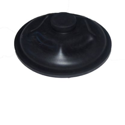 Immagine di DIAPHRAGM