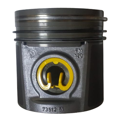 Immagine di PISTON WITH RINGS