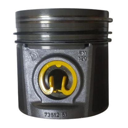 Immagine di PISTON WITH RINGS