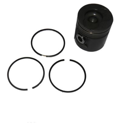 Immagine di PISTON AND PIN & RING SET