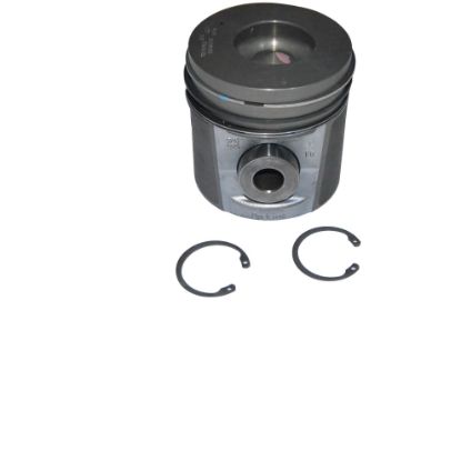 Immagine di PISTON WITH RINGS