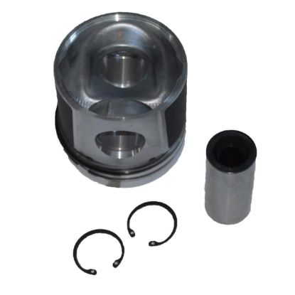 Immagine di PISTON WITH RINGS