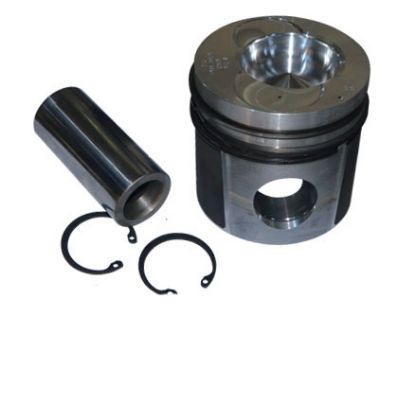 Immagine di PISTON WITH RINGS