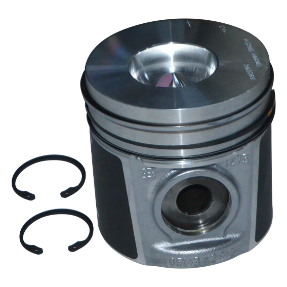 Immagine di PISTON WITH RINGS