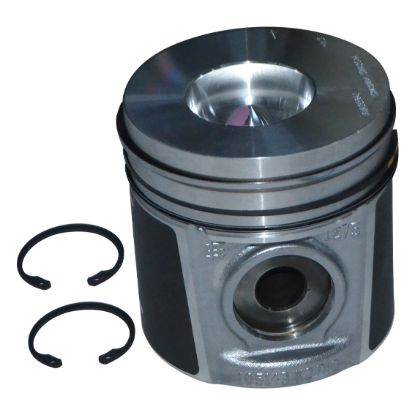 Immagine di PISTON WITH RINGS