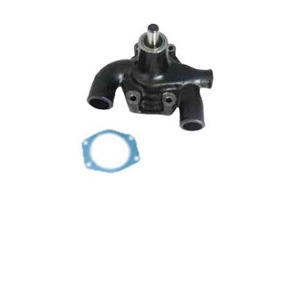 Immagine di WATER PUMP ASSY W/PULLEY