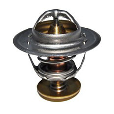 Immagine di THERMOSTAT 60 C