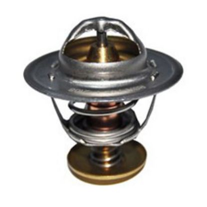 Immagine di THERMOSTAT 60 C