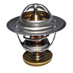 Immagine di THERMOSTAT 74 C