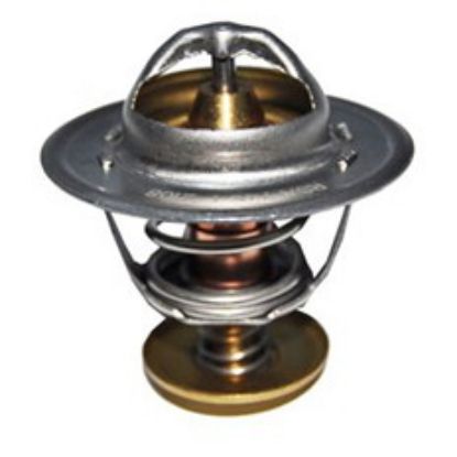 Immagine di THERMOSTAT 74 C