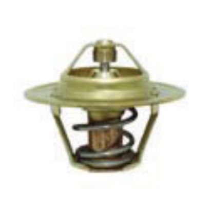 Immagine di THERMOSTAT 74 C