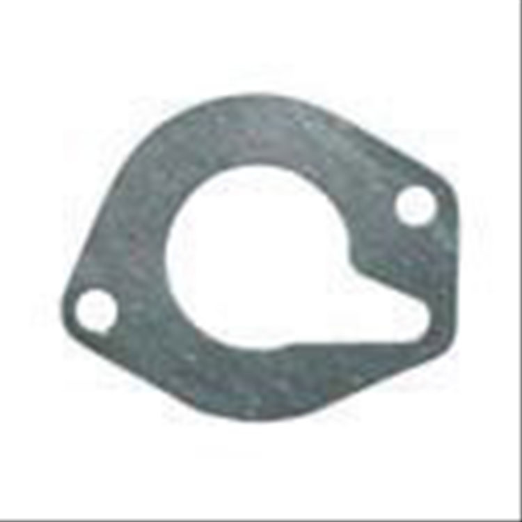 Immagine di GASKET THERMOSTAT BODY