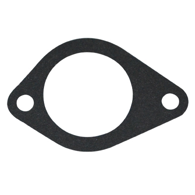 Immagine di GASKET THERMOSTAT BODY
