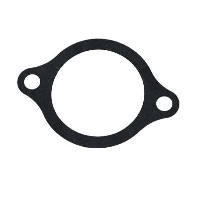 Immagine di GASKET THERMOSTAT BODY