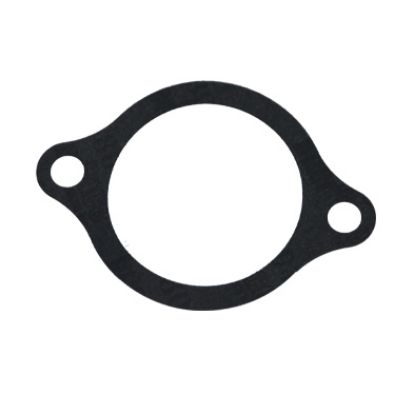 Immagine di GASKET THERMOSTAT BODY