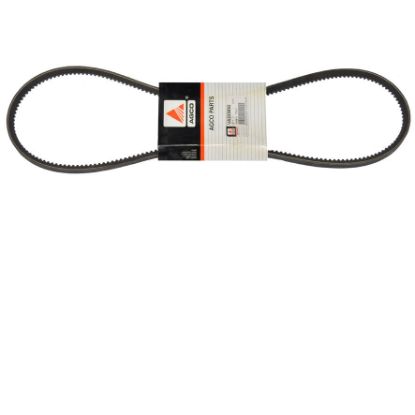 Immagine di FAN BELT