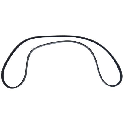 Immagine di FAN BELT NOTCHED