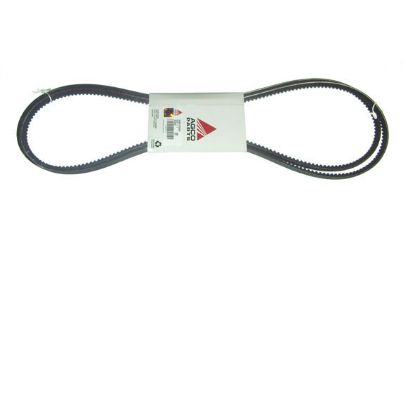 Immagine di FAN BELT NOTCHED KIT