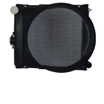 Immagine di RADIATOR