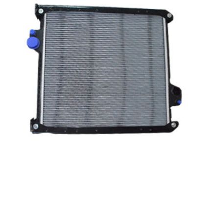 Immagine di RADIATOR