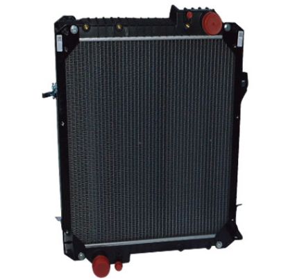 Immagine di RADIATOR