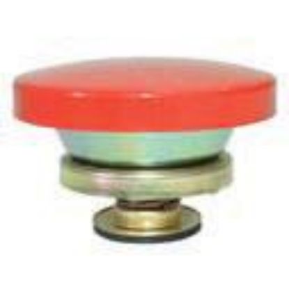 Immagine di CAP - RADIATOR NEW TYPE