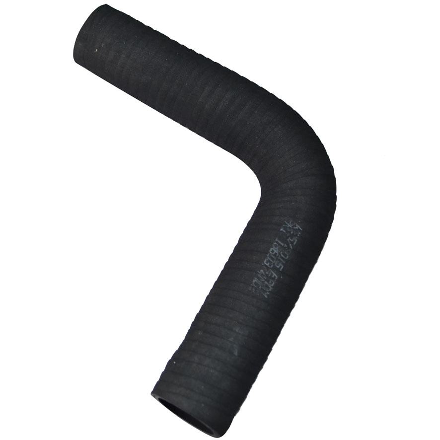 Immagine di BOTTOM HOSE - RADIATOR