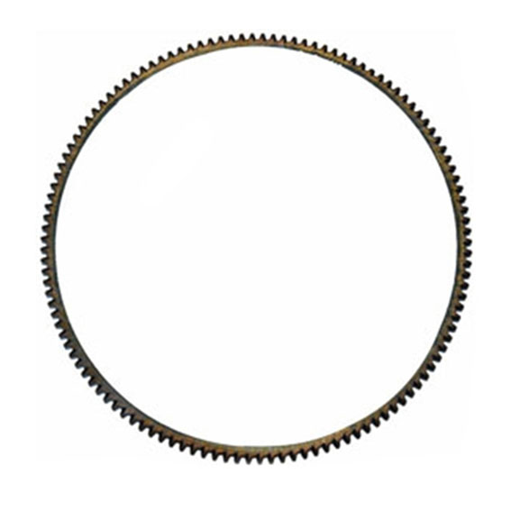 Immagine di RING GEAR - FLYWHEEL 122/T