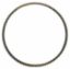 Immagine di RING GEAR - FLYWHEEL 126/T