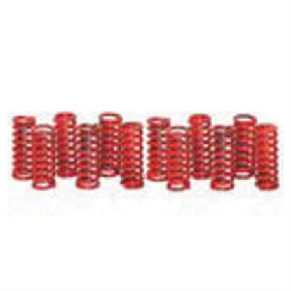 Immagine di "SPRING CLUTCH KIT 12"""