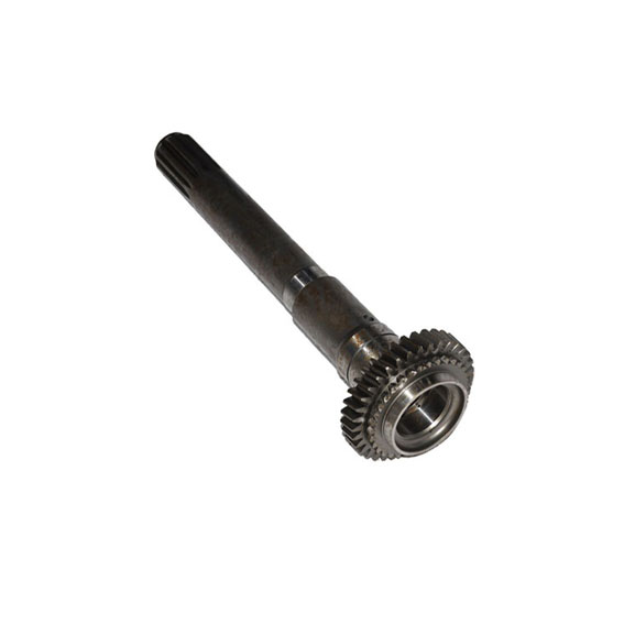 Immagine di INPUT SHAFT GEAR (17 )