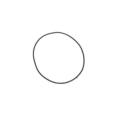 Immagine di O RING - RETAINER