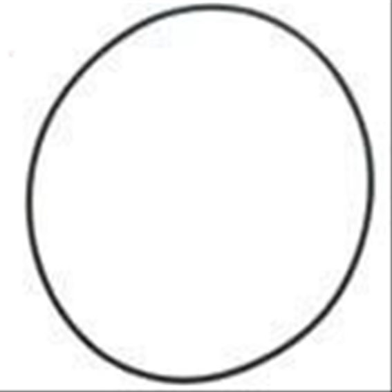 Immagine di O RING - RETAINER